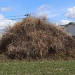 住宅街にあるもっさりとした古墳＝加古川市野口町良野、具平塚古墳