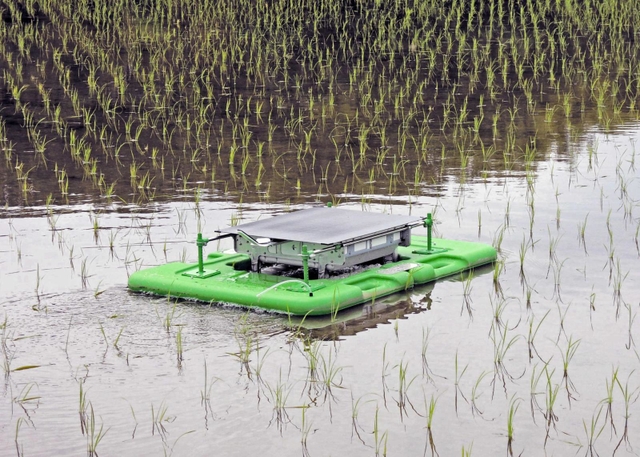 スクリューの水流で水や泥をかき混ぜながら水田内を移動するアイガモロボ＝加古川市八幡町