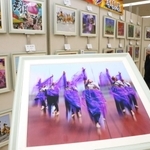 躍動感あふれる踊りを個性豊かに切り取った作品が並ぶ＝加古川ヤマトヤシキ