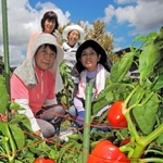 「おひさまパプリカ」を育てる牛塚敦子さん（後列左）らスタッフ。加古川の新たな特産品を目指す＝加古川市志方町氷室