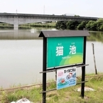 猫８匹をいけにえにして埋め、築堤したという言い伝えがある猫池＝加古川市八幡町上西条
