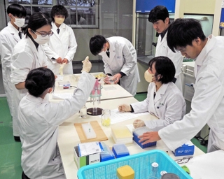 「山田錦」の新たな品種開発を目指す生物工学科の生徒や教員ら＝県立農業高校