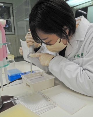 草丈が低いＤＮＡの鑑定作業を進める生徒＝県立農業高校