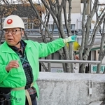 鳥が嫌がる高周波音を流す装置「バードソニック」を取り付ける岡山理科大教育推進機構の辻維周教授＝加古川市加古川町篠原町