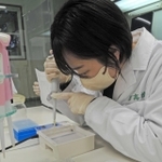 草丈が低いＤＮＡの鑑定作業を進める生徒＝県立農業高校