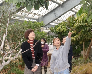 みとろフルーツパーク内のグラスハウス内を見学した＝加古川市上荘町見土呂