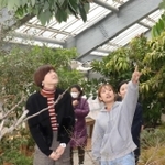 みとろフルーツパーク内のグラスハウス内を見学した＝加古川市上荘町見土呂