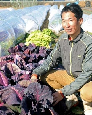 赤キャベツ「キャンディーレッド」など多品目の野菜を育てる瀧尻将司さん＝加古川市八幡町上西条