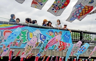 別府川をまたいでかかる色鮮やかなこいのぼり＝加古川市加古川町美乃利