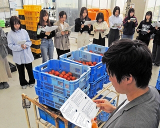 ゼブラグリーンズの小畠諒将さん（手前）にトマトの加工製品を提案する学生たち＝加古川市志方町原