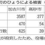 神戸新聞NEXT