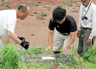 ため池のほとりに捕獲器を設置する高砂市職員ら＝高砂市阿弥陀町内