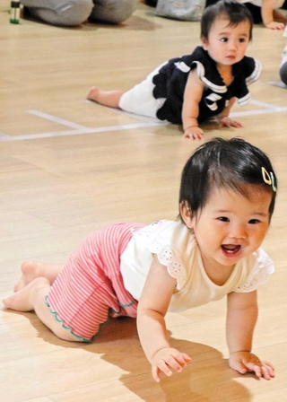 ハイハイよちよち、「赤ちゃん選手」が白熱レース 加古川で80組参加|東