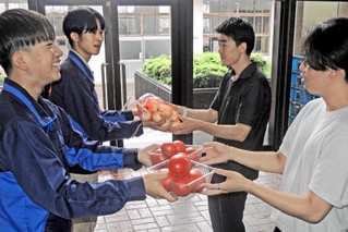 自分たちが育てた野菜を兵庫大生（右の２人）に手渡す県農生。規格外などの理由で廃棄する予定だった＝県立農業高校