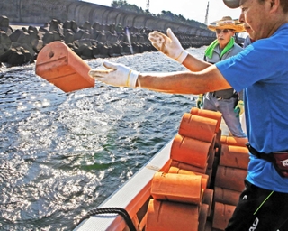 海に向かって産卵用のタコつぼを投げ入れる東播磨漁協の組合員ら＝東播磨港沖