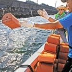 海に向かって産卵用のタコつぼを投げ入れる東播磨漁協の組合員ら＝東播磨港沖