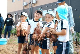 隅野茂明さんが耕していた畑でサツマイモを収穫した園児＝加古川市尾上町池田