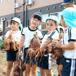 隅野茂明さんが耕していた畑でサツマイモを収穫した園児＝加古川市尾上町池田