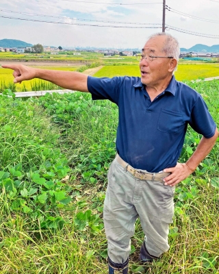 地域を見下ろすため池の土手に立ち、農地について語る西中農業会長の陰山謙幸さん＝加古川市志方町西中
