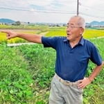 地域を見下ろすため池の土手に立ち、農地について語る西中農業会長の陰山謙幸さん＝加古川市志方町西中