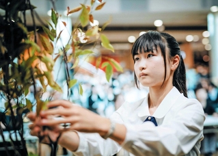 準決勝に臨む小田切杏奈さん（（Ｃ）一般社団法人　花いけジャパンプロジェクト）