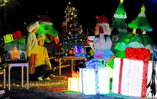 クリスマスイルミネーションでライトアップされたマリーゴールド園＝加古川市野口町水足
