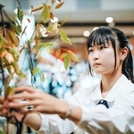 準決勝に臨む小田切杏奈さん（（Ｃ）一般社団法人　花いけジャパンプロジェクト）