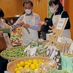 新鮮な有機野菜が並んだマルシェ