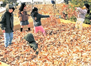 落ち葉のプールは大人気。飛び込んだり、宙に放り投げたり、思い思いに楽しんでいた＝日岡山公園