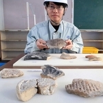 出土した古代の寺の存在を裏付ける瓦など＝加古川市平荘町山角