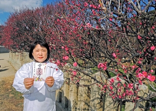 寒さが緩み、開花が進む曽根天満宮の梅園。１、２日には「梅まつり」が催され、期間限定の御朱印も＝高砂市曽根町