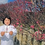 寒さが緩み、開花が進む曽根天満宮の梅園。１、２日には「梅まつり」が催され、期間限定の御朱印も＝高砂市曽根町