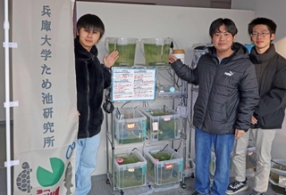 メダカを育てる「ため池研究所」のメンバー。一度は減少したが、順調に数を増やしている＝兵庫大学