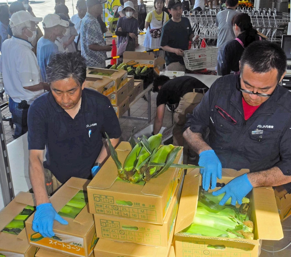 3　兵庫県産　朝採り　採りたて　農薬不使用　やまもも　約1.0kg （箱込み） 出羽弥兵衛 令和6年産特別栽培 山形産 ササニシキ お米 | G-Call