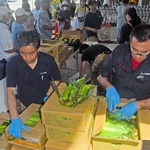 朝収穫したばかりのトウモロコシを求めて行列ができた＝稲美町六分一