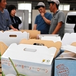 販売が開始された「いなみ野メロン」。今年は日照時間などの影響で甘く仕上がった＝稲美町北山
