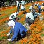 今年から週１回ペースで行う雑草駆除。多くの従業員が参加する＝加古川市野口町水足
