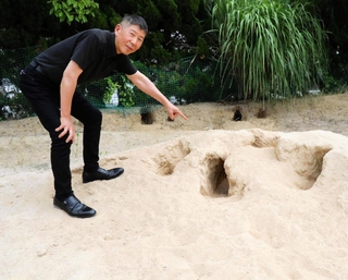 キツネが掘った穴について説明する泥健二郎事務長＝加古川市加古川町本町