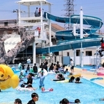 ８月３１日の営業終了を前に、連日にぎわう高砂市民プール＝高砂市高砂町松波町