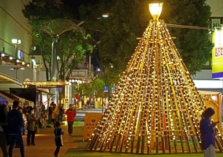 竹ランタンで組んだツリー＝加古川市加古川町篠原町