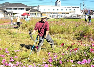リレー形式の草刈りレースに挑戦した参加者＝加古川市志方町原
