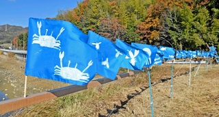 かいぼり体験を基に全校児童が思い思いに描いた旗＝加古川市志方町原