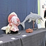 不思議な仮面ずらり、図書館から異界へご招待　加古川の造形作家「大衆SHOCK堂」が高砂で作品展