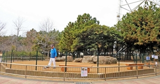 プレオープン中のドッグラン。散歩がてら訪れた人らが利用する＝高砂市高砂町向島町