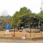 プレオープン中のドッグラン。散歩がてら訪れた人らが利用する＝高砂市高砂町向島町