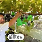 前原芳幸さんの畑の様子を伝える動画の一場面（稲美町提供）