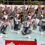 晴天の下、本部競演場で力いっぱい踊る参加者＝加古川市加古川町北在家