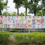 各候補者のポスターが並ぶ掲示板＝加古川市加古川町北在家