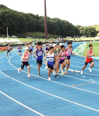 一斉にスタートした陸上男子共通３０００メートルの選手たち＝加古川市西神吉町鼎