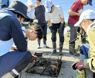 ため池の外来種を調べるため、住民とともに仕掛けたわなを回収する学生ら＝加古川市上荘町（ため池みらい研究所提供）